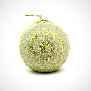 Cantaloupe Melon, with green flesh on the White Blackground