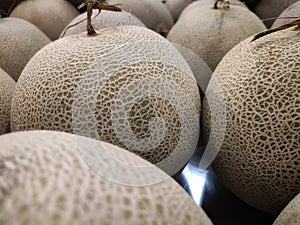 Cantaloupe melon,Honey dew melon, melon in the market, close-up, selective focus
