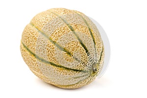 Cantaloupe melon