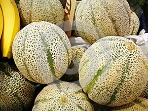 Cantaloupe melone