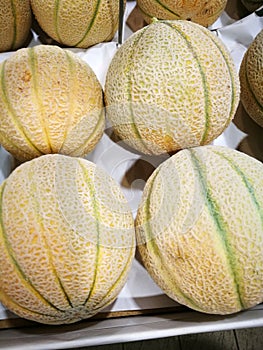 Cantaloupe melone