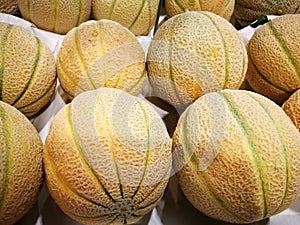 Cantaloupe melone