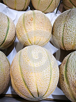 Cantaloupe melone