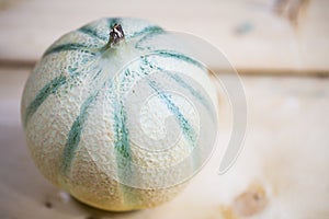 Cantaloupe Melone on wooden background photo