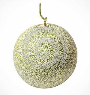 Cantaloupe melons on a white background