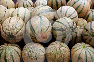 Cantaloupe rock melon muskmelon spanspek photo