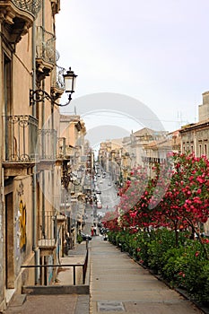 Catania street scene photo