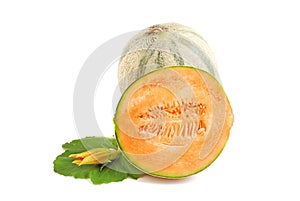 Cantelope melon