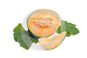 Cantelope melon