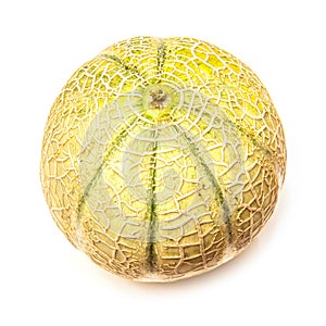 Canteloupe melon fruit (Cucumis melo) photo