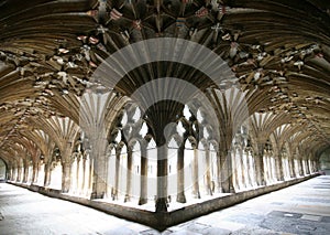 Canterbury Cathedral, The Cloisters