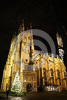 Canterbury Cathedral at Night with Christmas Tree and Nativity Scene