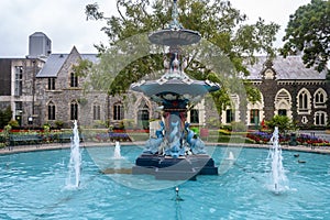 Canterbury museum and gardens, Christchurch, New Zealand