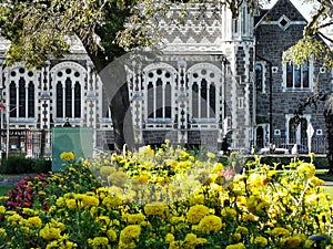 The Canterbury Museum with a yellow flowes on the foreground