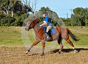 Cantering cross country horse