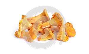 Cantharellus cibarius, commonly known as the chanterelle, or girolle