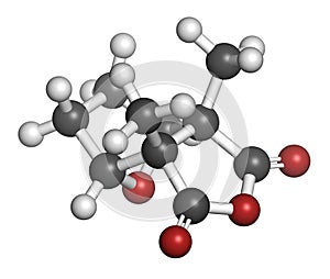 Cantharidin blister beetle poison molecule. Secreted by blister beetles, spanish fly, soldier beetles, etc. Atoms are represented