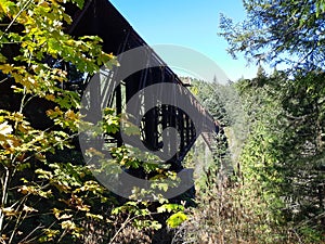 Cantilever style bridge in the forest