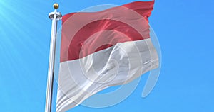 Canton of Solothurn Flag, Switzerland. Loop