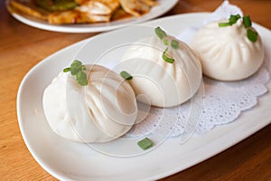 Cantonese food dim sum Pan fried pork bun