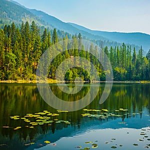 Canuck Lake Premier Lake Provincial Park British Columbia photo