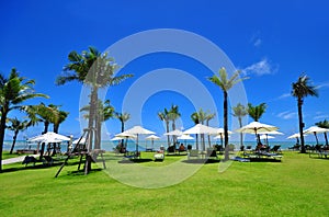 Canvas beds on tropical beach with coconut palm and umbrellas.