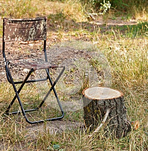 A canvas folding tourist chair sits next to a makeshift table in the form of a wooden stump