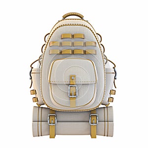 Canvas and leather backpack Front view 3D
