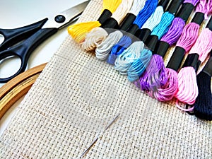 Canvas, needle and moulinet threads for needlework