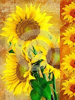 Canvas sunflowers series right photo