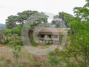 Canvas wall tent on stilts for private Safari in the Bushveld in South Africa