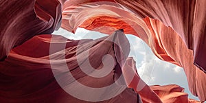 Canyon Antelope near Page, Arizona, background and abstract concept