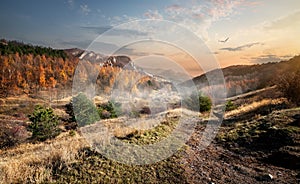 Canyon in the autumn