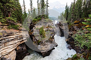 Canyon in Banff NP