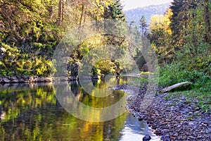 Kaňon Průlom řeky Hornádu ve Slovenském ráji na podzim
