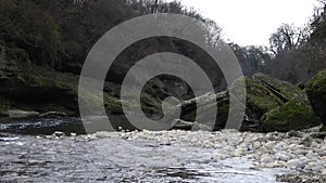 The canyon of the Brembo river