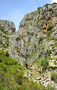 Canyon of the Buitreras near Cortes de la Frontera, Spain photo
