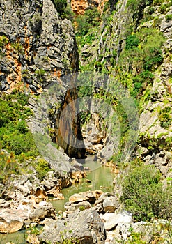 The Canyon of the Buitreras near Cortes de la Frontera, Spain photo