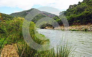The Guadiaro River in the Buitreras Canyon, province of Cadiz, Spain photo