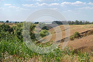 Canyon in the countryside