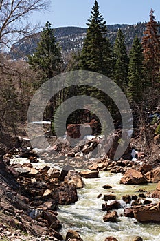 Canyon Creek outside Ouray, Colorado