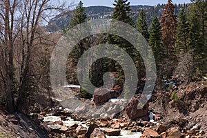 Canyon Creek outside Ouray, Colorado