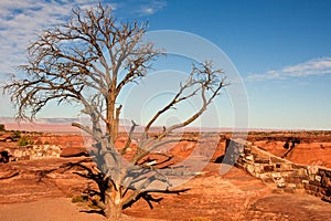 Canyon de Chelly Vista Point