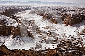 Canyon in deserts of Kazakhstan