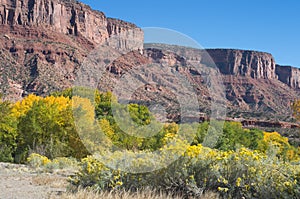 Canyon of the Dolores River