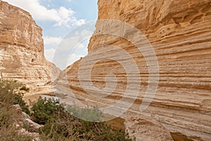 Canyon of Ein Avdat National Park, the Negev Desert, Southern Israel