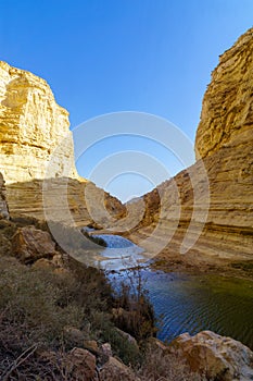 Canyon of Ein Avdat National Park, the Negev Desert