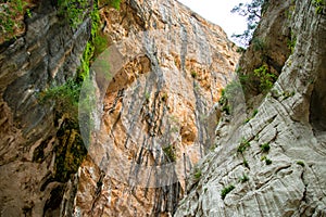 Canyon of Gorropu