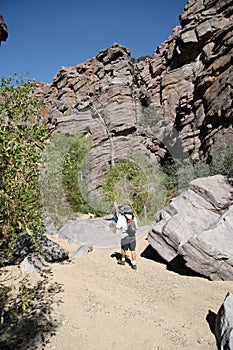 Canyon Hiker