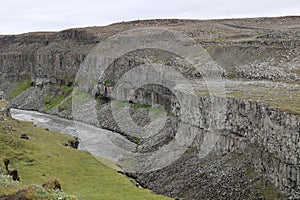 Canyon of the Jökulsá á Fjöllum River at Dettifoss waterfall, Iceland